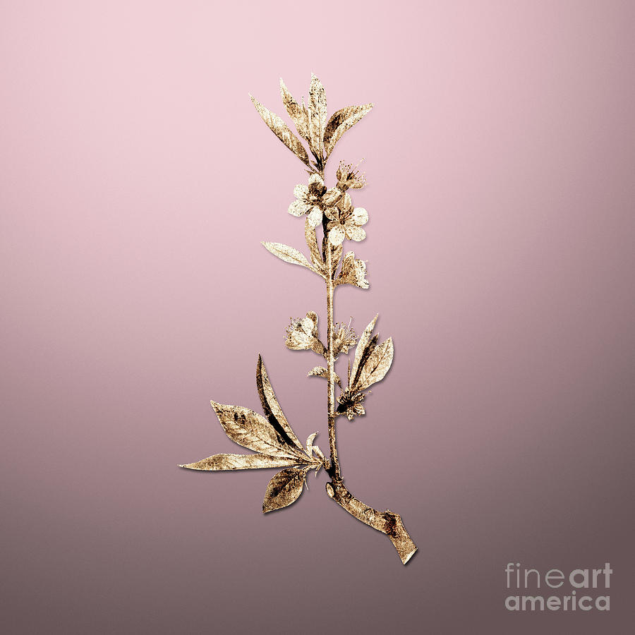 Gold Pink Flower Branch on Rose Quartz n.02768 Painting by Holy Rock Design