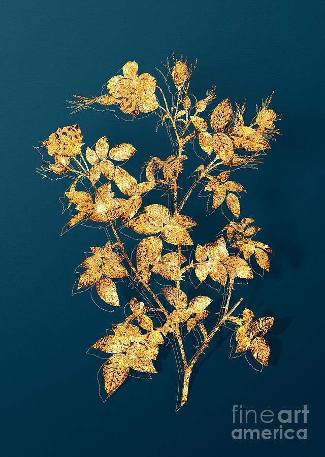 Gold Pink Flowering Rosebush Botanical Illustration on Teal Mixed Media by Holy Rock Design