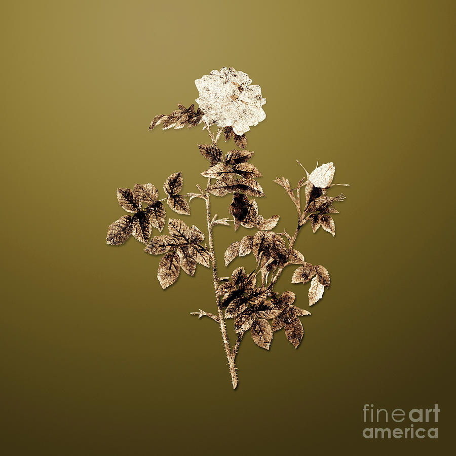 Gold Pink Rosebush on Dune Yellow n.02469 Painting by Holy Rock Design