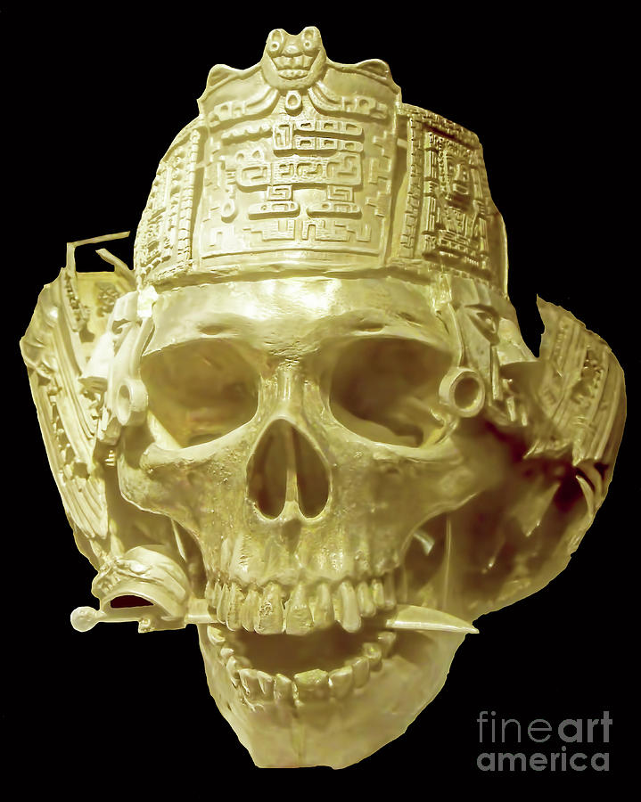 Gold Pirate Skull Photograph by D Hackett