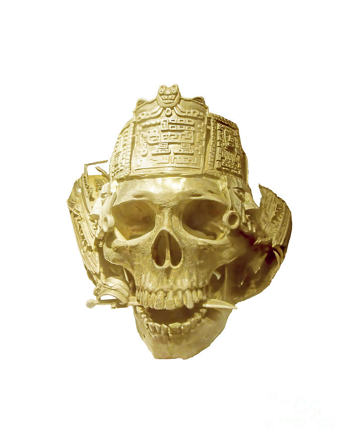 Gold Pirate Skull Transparent Background Photograph by D Hackett