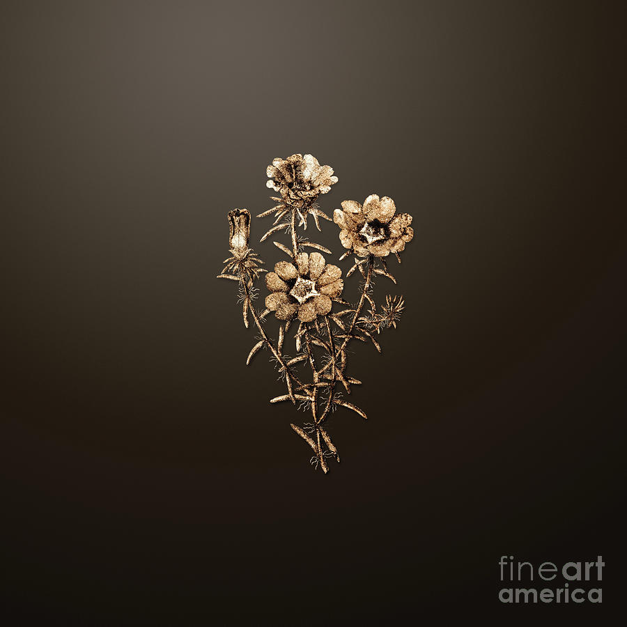 Gold Portulaca Splendens Flower Branch on Chocolate Brown n.00324 Painting by Holy Rock Design