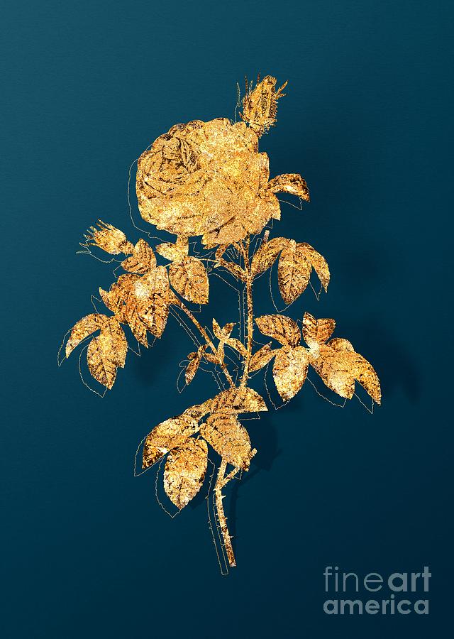 Gold Provence Rose Bloom Botanical Illustration on Teal Mixed Media by Holy Rock Design