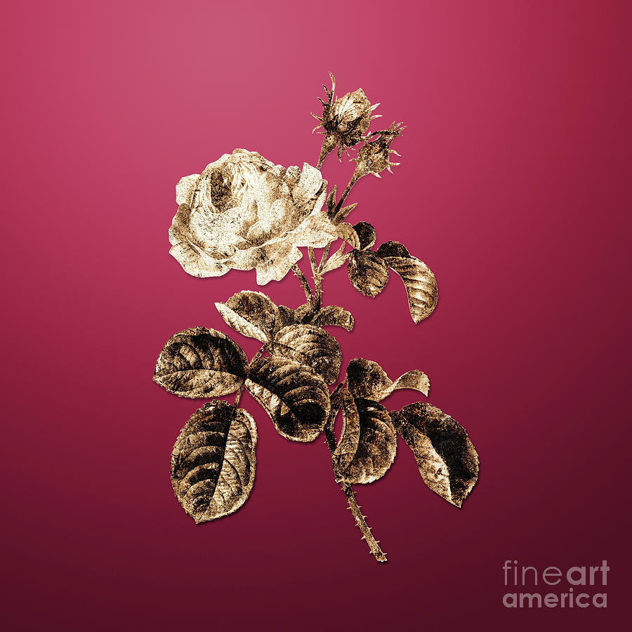 Gold Provence Rose On Viva Magenta N.04313 Painting