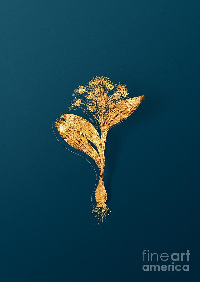 Gold Pygmy Hyacinth Botanical Illustration on Teal Mixed Media by Holy Rock Design