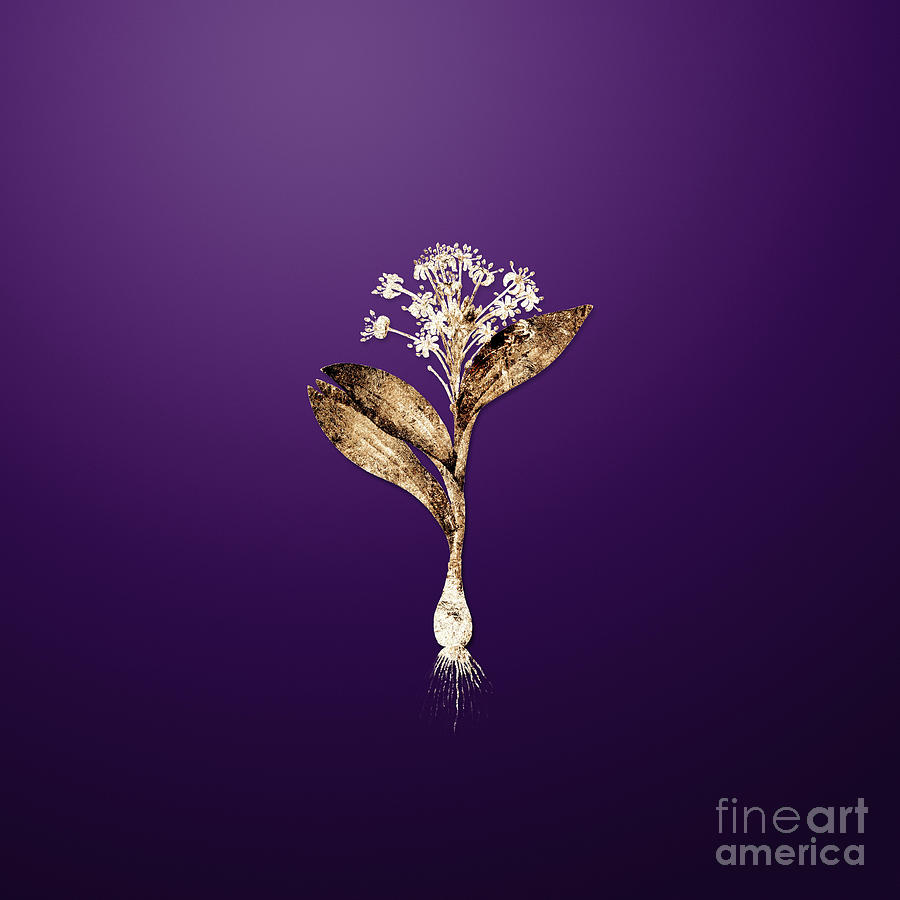 Gold Pygmy Hyacinth on Royal Purple n.02476 Painting by Holy Rock Design