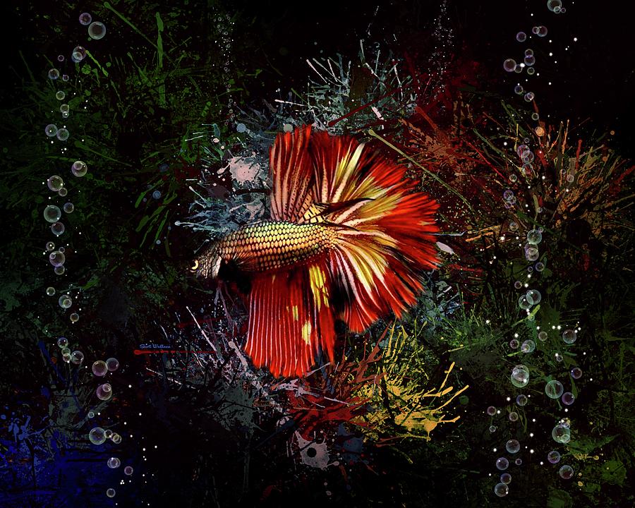Gold Red Betta Fish Digital Art