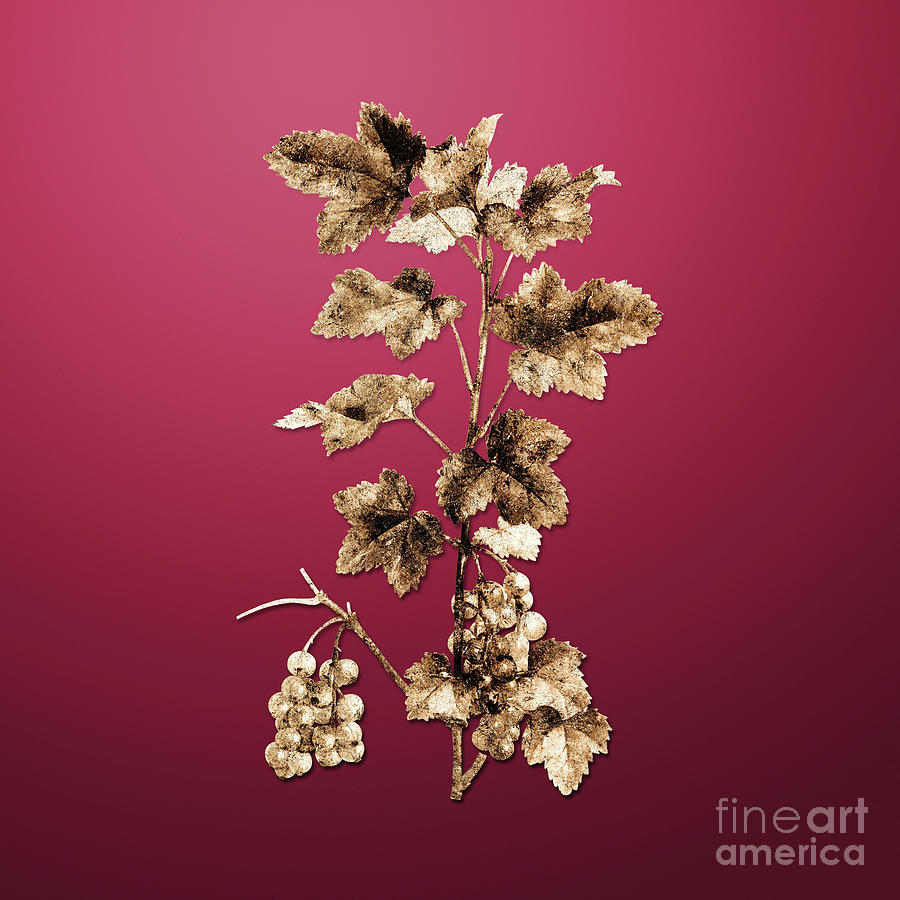 Gold Redcurrant Plant On Viva Magenta N.04425 Painting