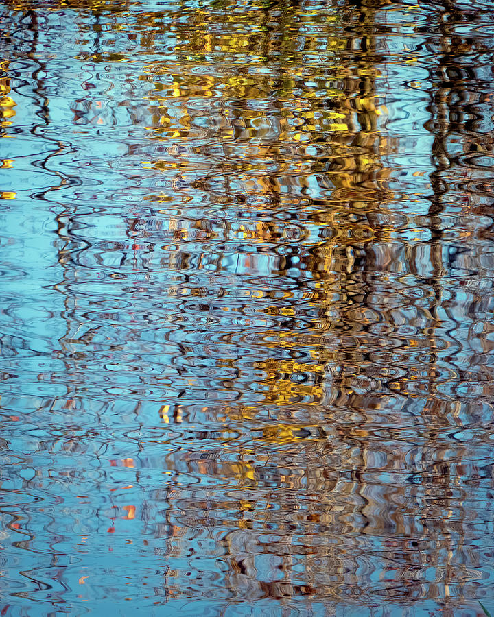 Gold Reflections Mixed Media by George Harth