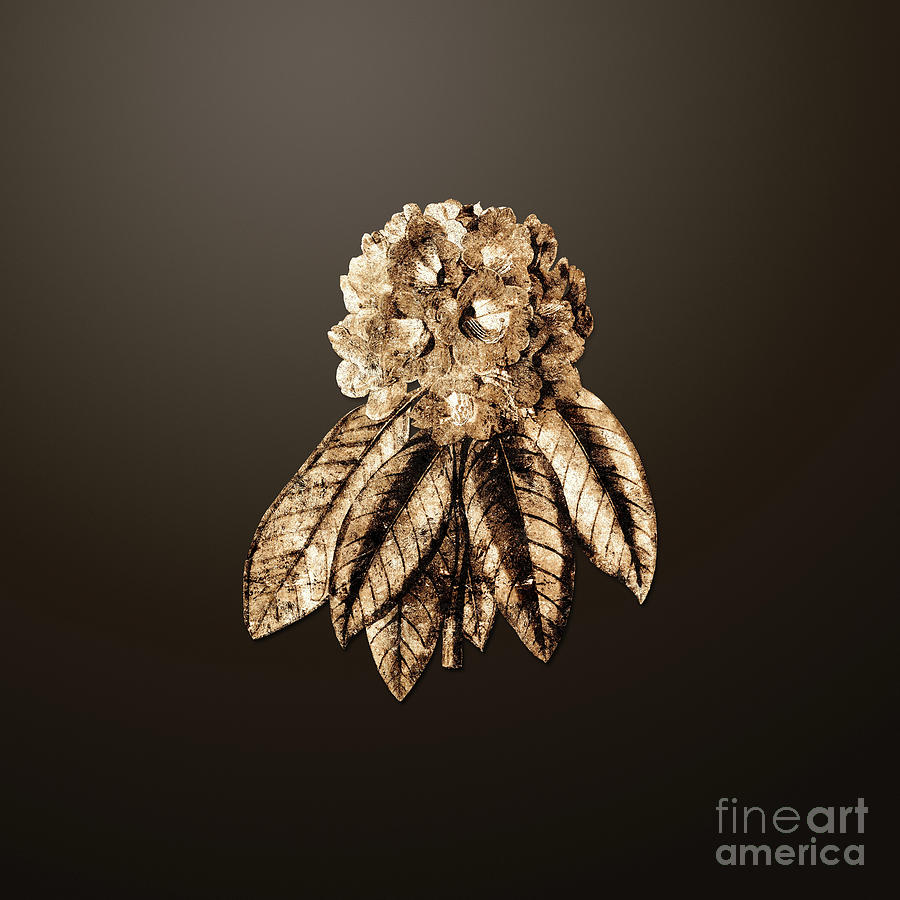 Gold Rhododendron Rollissonii Flower on Chocolate Brown n.00436 Painting by Holy Rock Design