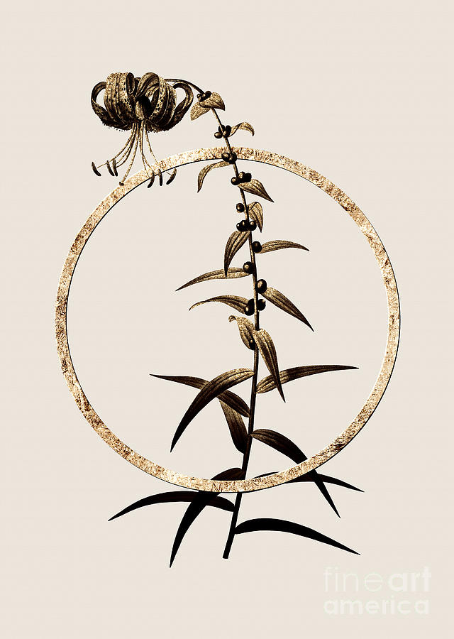 Gold Ring Tiger Lily Botanical Illustration Black and Gold n.0356 Painting by Holy Rock Design