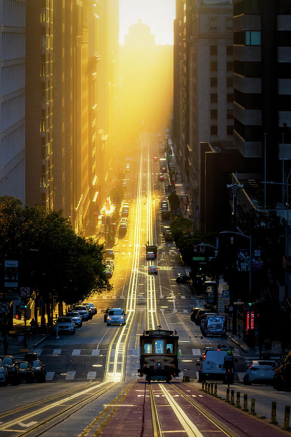 Gold Rush - San Francisco 2021 Photograph by Vincent James Gold Rush - San Francisco 2021 Photograph by Vincent James