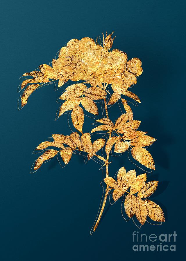 Gold Shining Rosa Lucida Botanical Illustration on Teal Mixed Media by Holy Rock Design