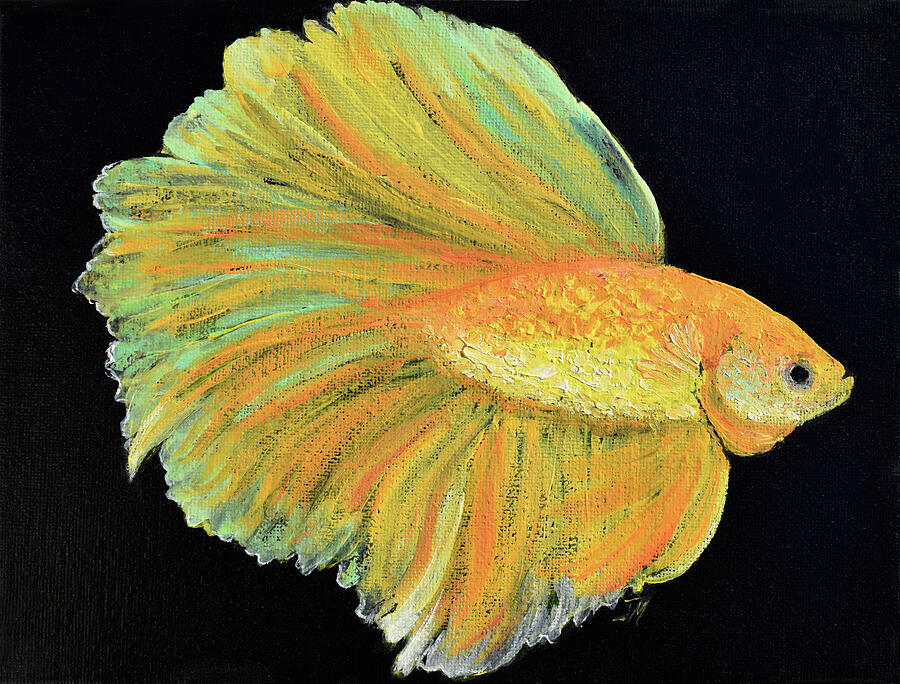 Gold Siamese Fighting Fish Painting by Jan Matson Gold Siamese Fighting Fish Painting by Jan Matson