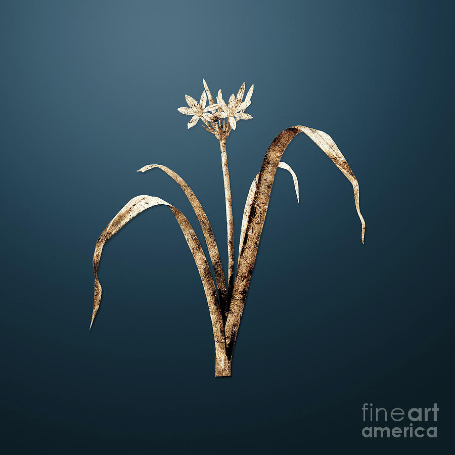 Gold Small Flowered Pancratium on Dusk Blue n.00755 Painting by Holy Rock Design