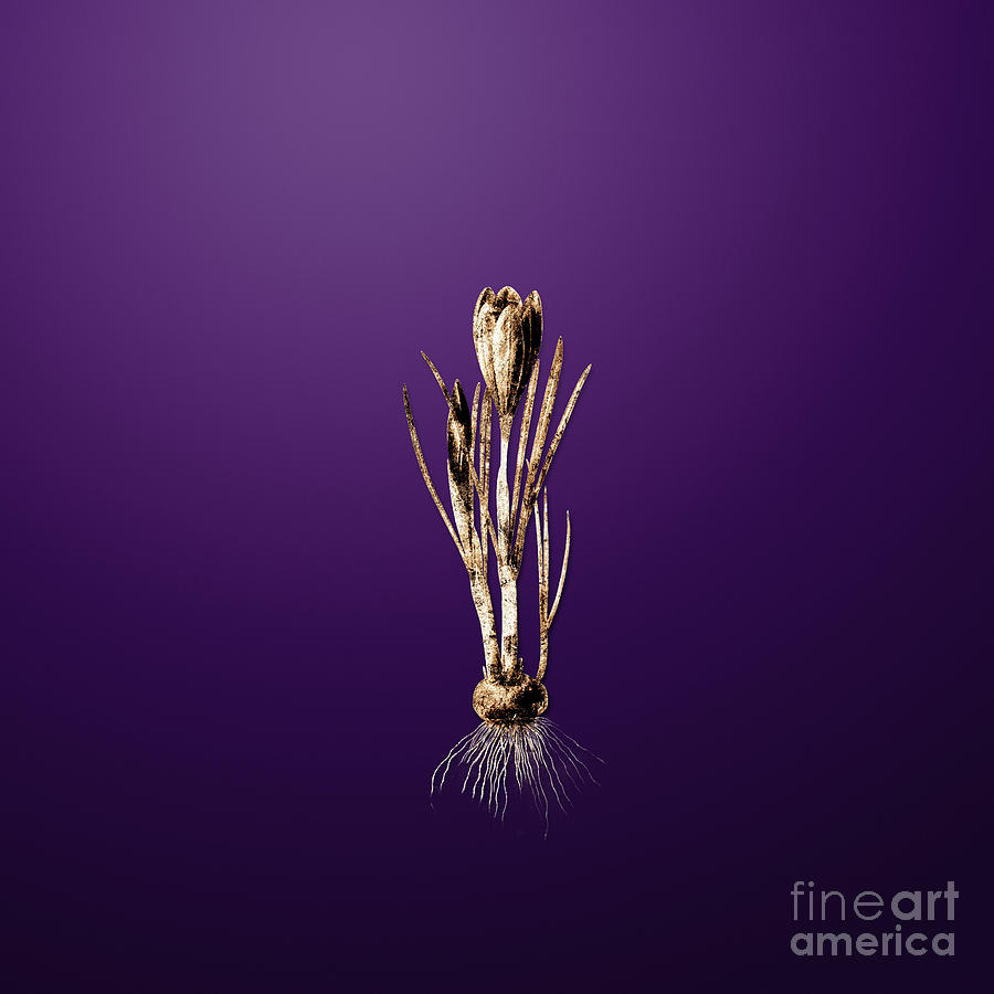 Gold Spring Crocus on Royal Purple n.03218 Painting by Holy Rock Design