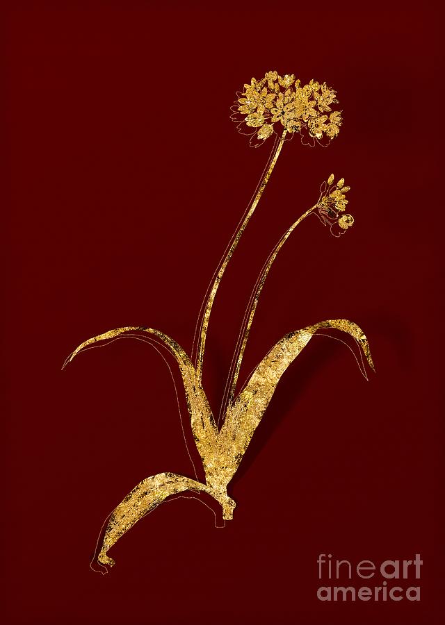 Gold Spring Garlic Botanical Illustration on Red Mixed Media by Holy Rock Design