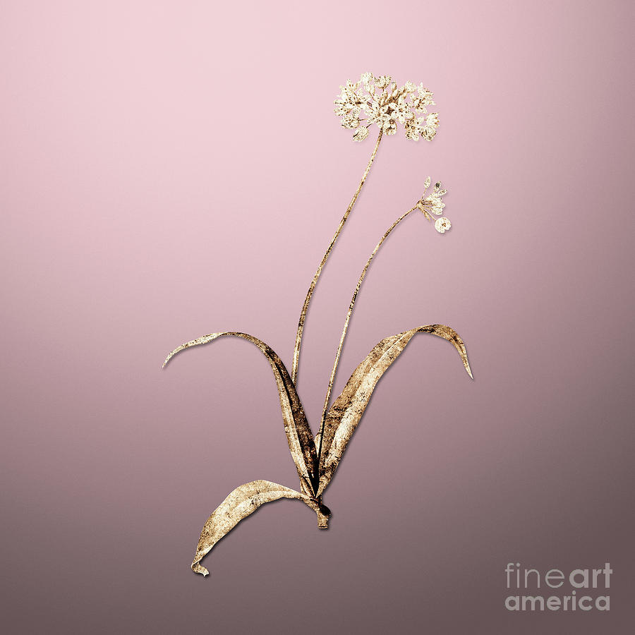 Spring Painting - Gold Spring Garlic on Rose Quartz n.03818 by Holy Rock Design