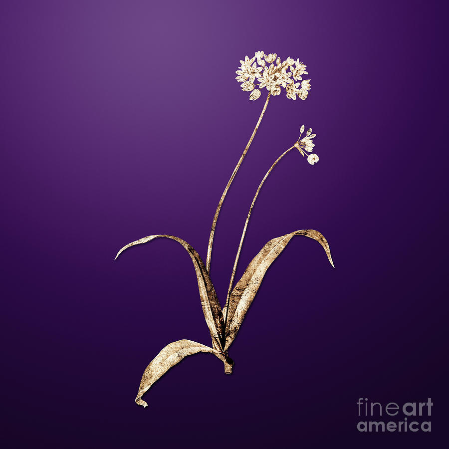 Spring Painting - Gold Spring Garlic on Royal Purple n.03232 by Holy Rock Design
