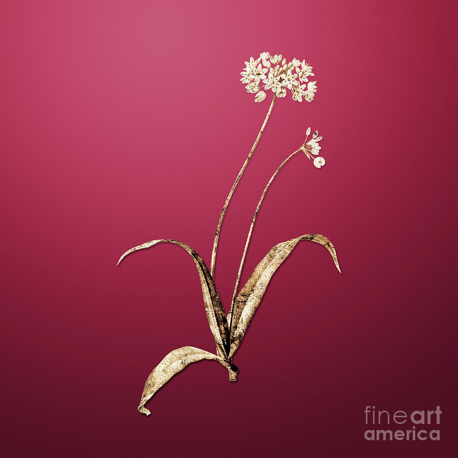 Spring Painting - Gold Spring Garlic on Viva Magenta n.00420 by Holy Rock Design