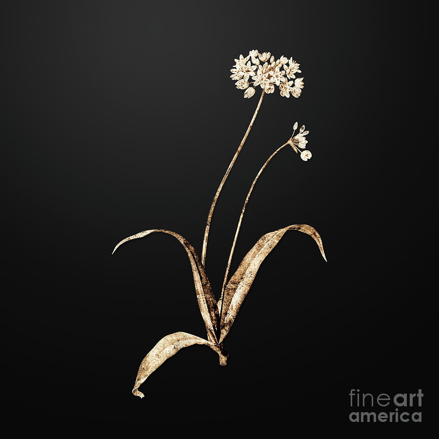 Spring Painting - Gold Spring Garlic on Wrought Iron Black n.02489 by Holy Rock Design