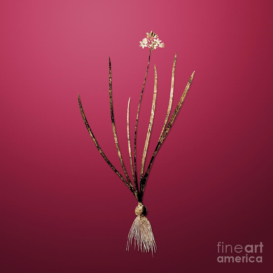 Gold Spring Squill on Viva Magenta n.00448 Painting by Holy Rock Design