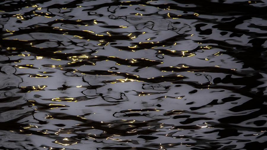 Gold Sprinkles One Photograph by Linda Bonaccorsi