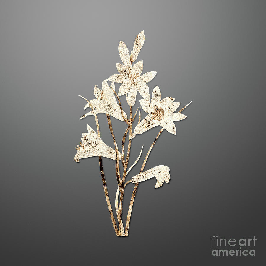 Gold St. Brunos Lily on Soft Gray n.02496 Painting by Holy Rock Design