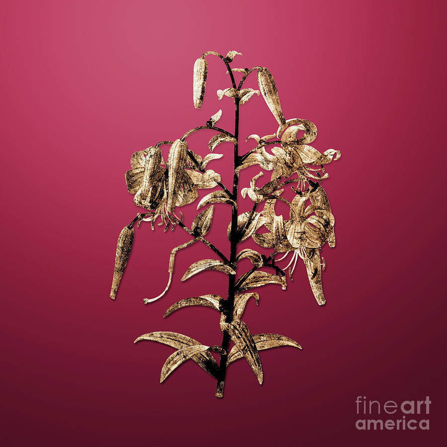 Gold Tiger Lily on Viva Magenta n.00714 Painting by Holy Rock Design