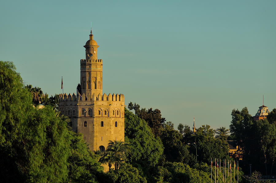 Gold Tower and Trees in Seville Photograph by Angelo DeVal