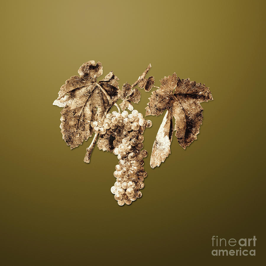 Gold Trebbiano Grapes on Dune Yellow n.00200 Painting by Holy Rock ...