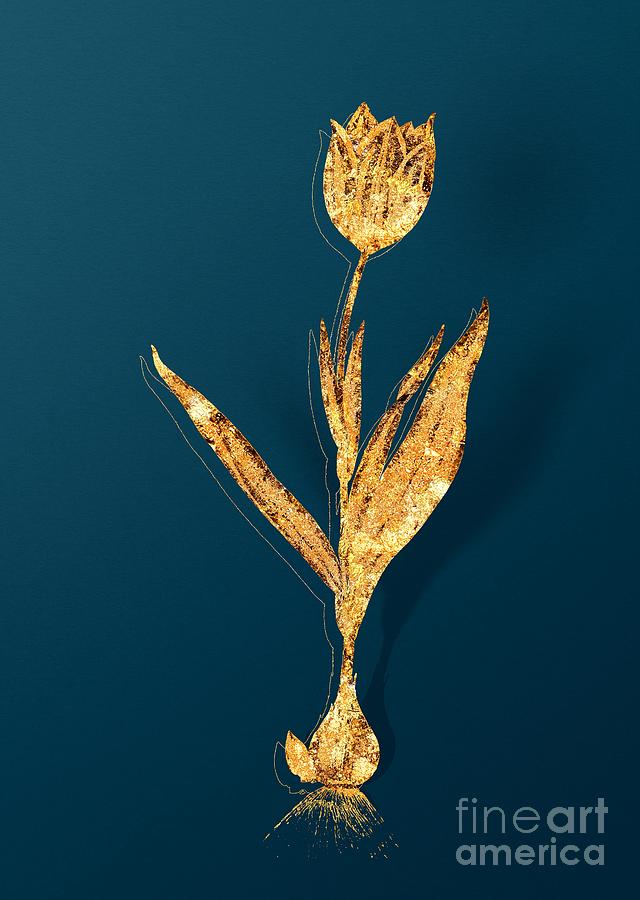 Gold Tulip Botanical Illustration on Teal Mixed Media by Holy Rock Design
