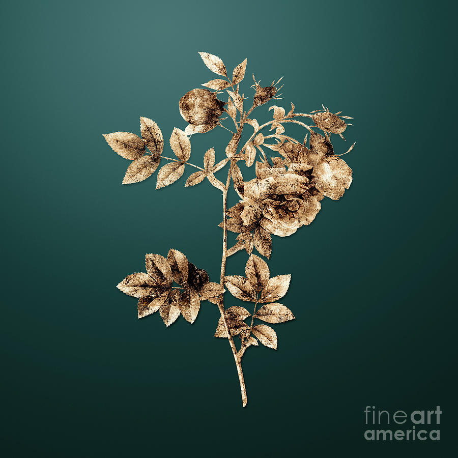 Gold Turnip Roses on Dark Teal n.00386 Painting by Holy Rock Design ...