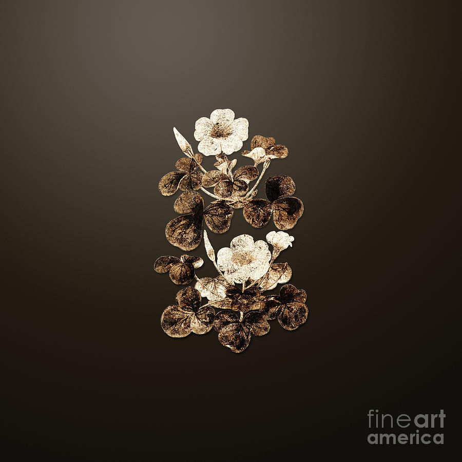 Vintage Painting - Gold Variable Oxalis Branch on Chocolate Brown n.00913 by Holy Rock Design