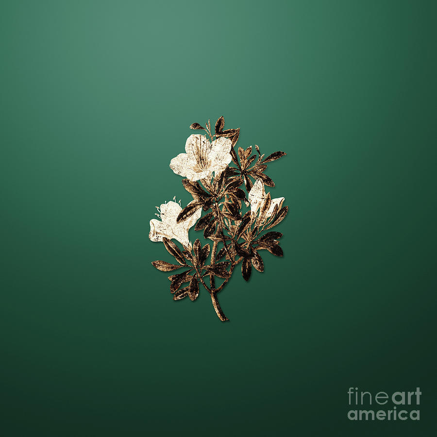 Spring Painting - Gold Variegated Chinese Azalea on Dark Spring Green n.00113 by Holy Rock Design