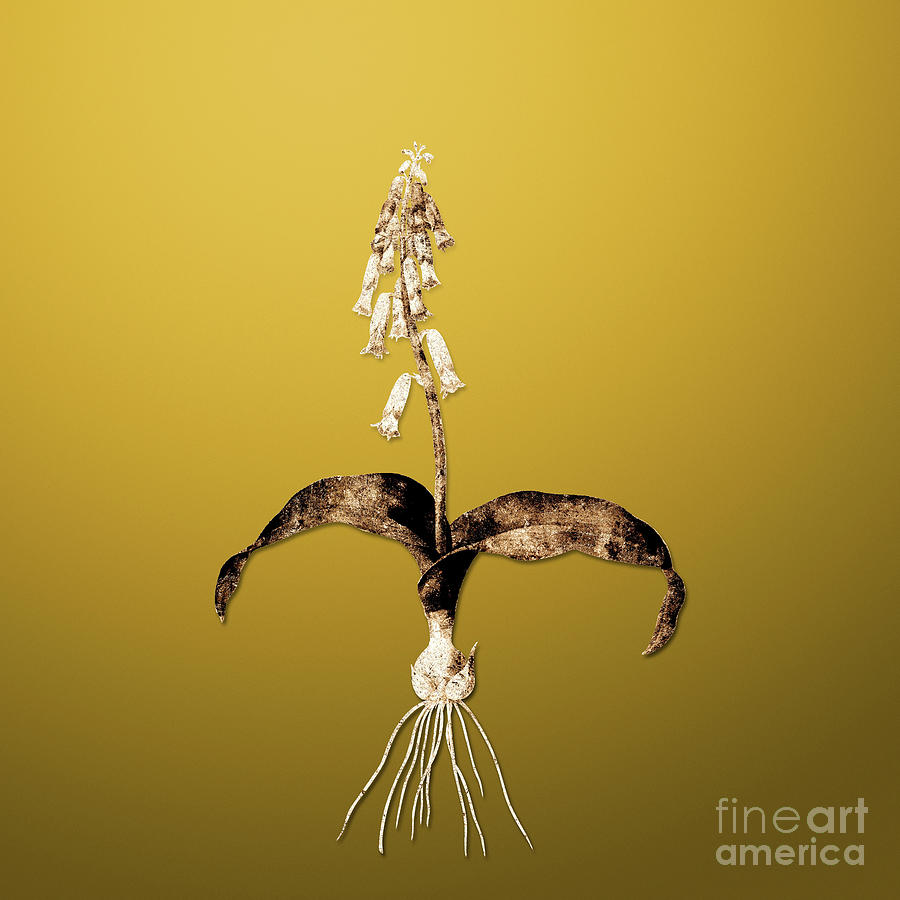 Gold Watsonia on Mango Yellow n.02435 Painting by Holy Rock Design