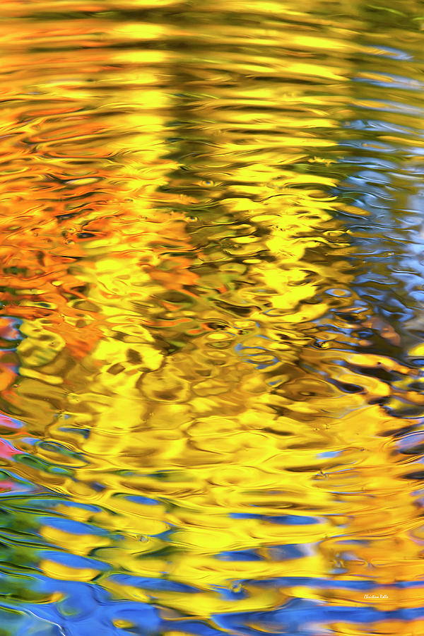 Abstract Photograph - Gold Waves Abstract by Christina Rollo