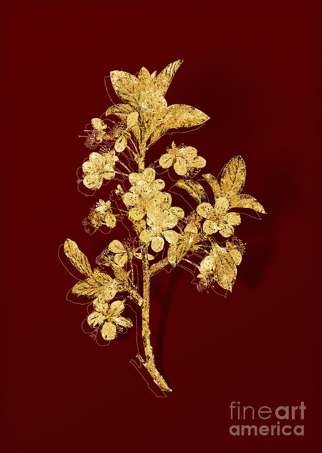 Gold White Plum Flower Botanical Illustration on Red Mixed Media by Holy Rock Design