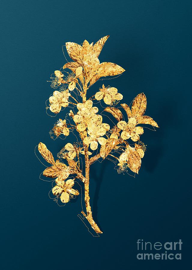 Gold White Plum Flower Botanical Illustration on Teal Mixed Media by Holy Rock Design