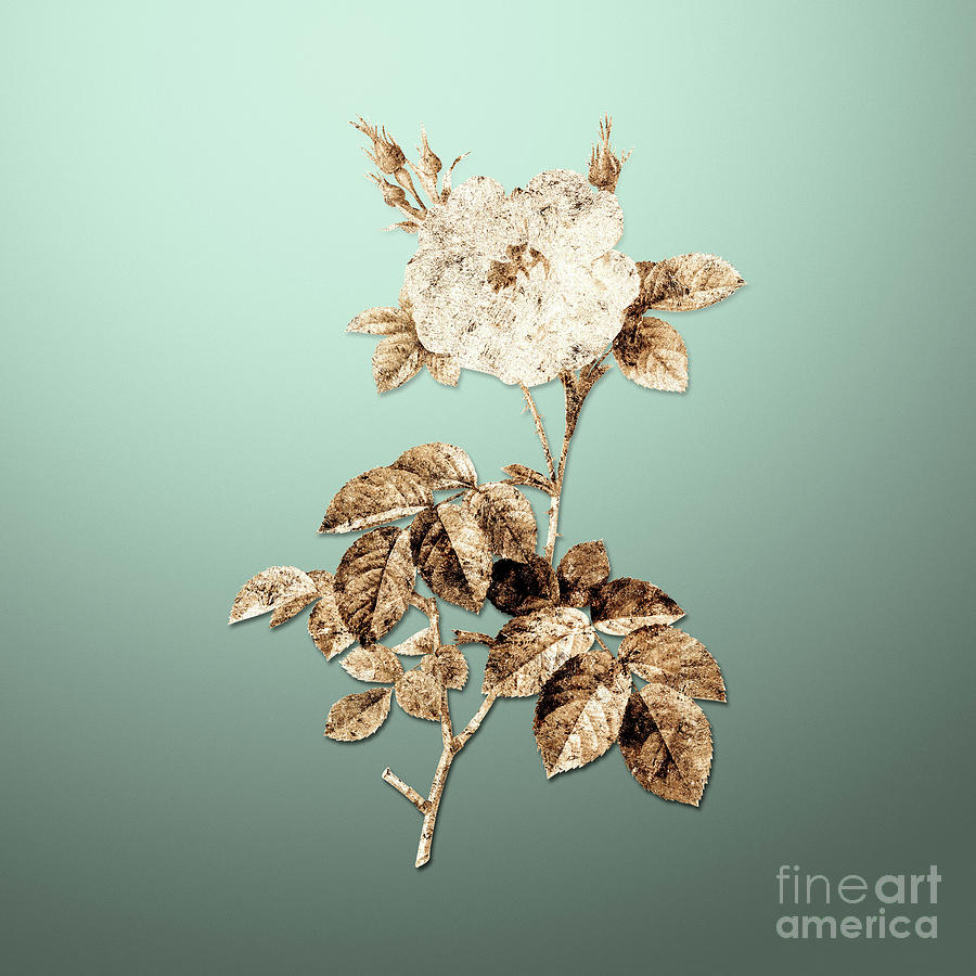 Gold White Rose on Mint Green n.01266 Painting by Holy Rock Design ...