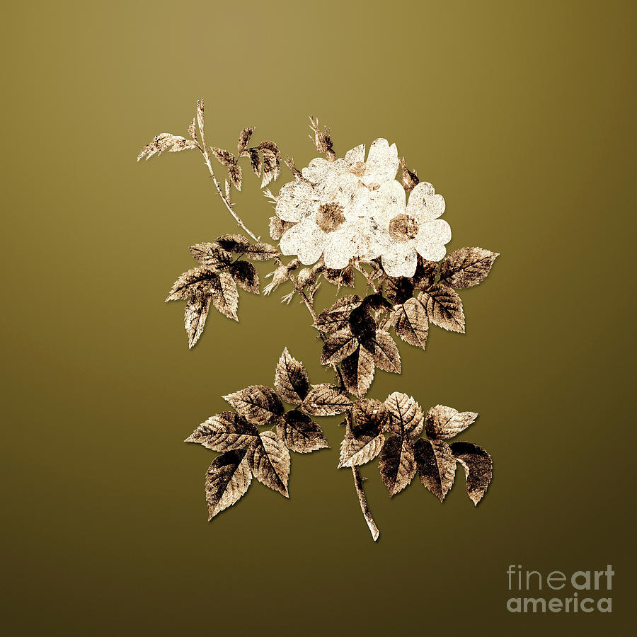 Gold White Rosebush on Dune Yellow n.02693 Painting by Holy Rock Design ...