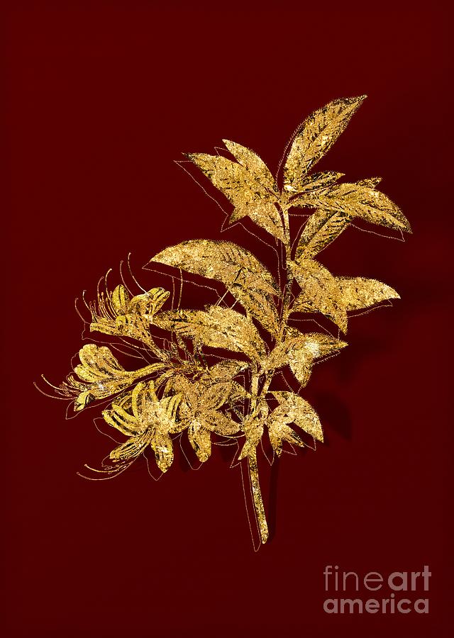 Gold Yellow Azalea Botanical Illustration on Red Mixed Media by Holy Rock Design