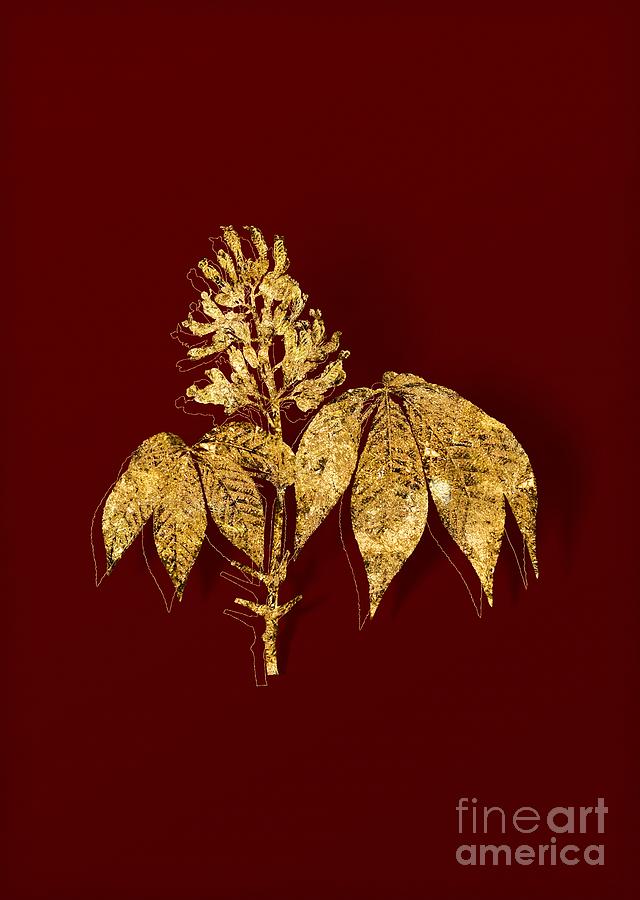 Gold Yellow Buckeye Botanical Illustration on Red Mixed Media by Holy Rock Design