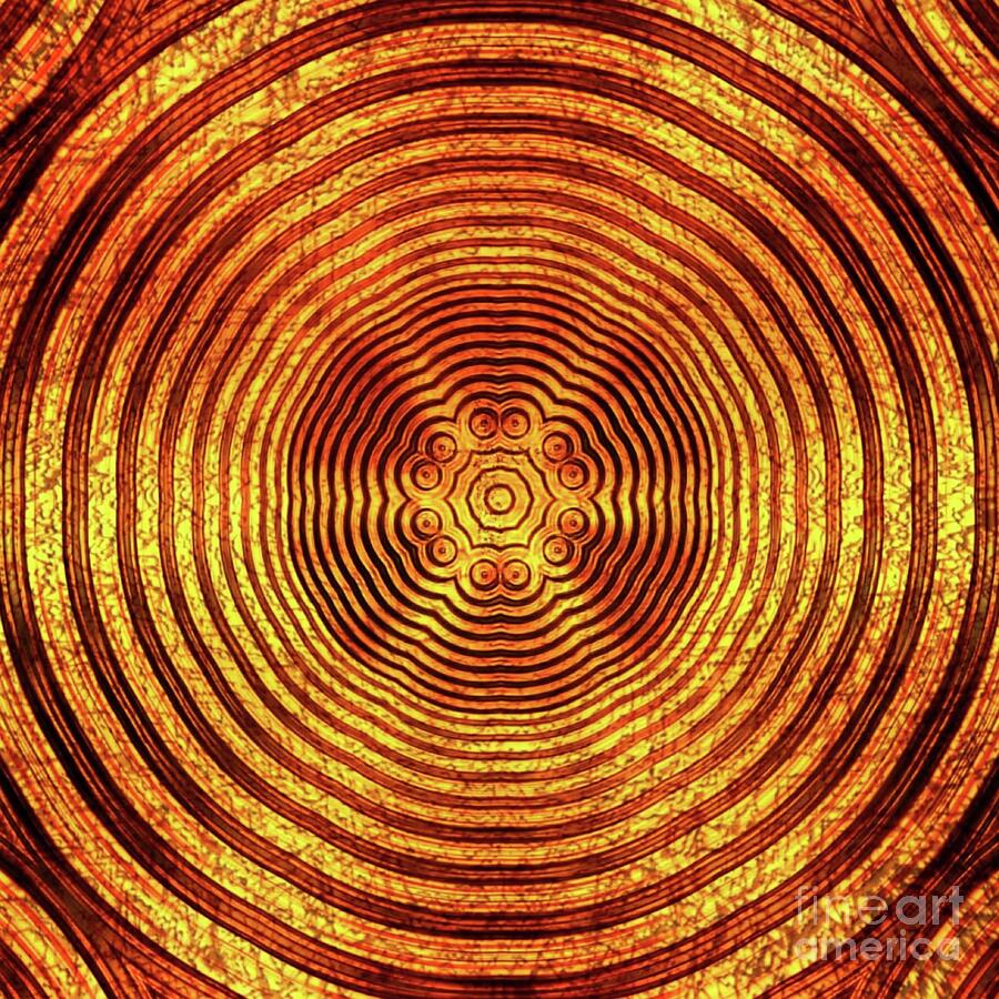 Golden Abstract Design Digital Art By Laura Vanatka Fine Art America