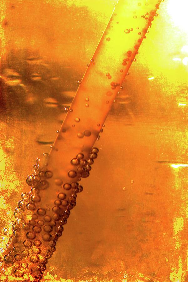 Golden Abstraction Photograph by Cathy Mahnke