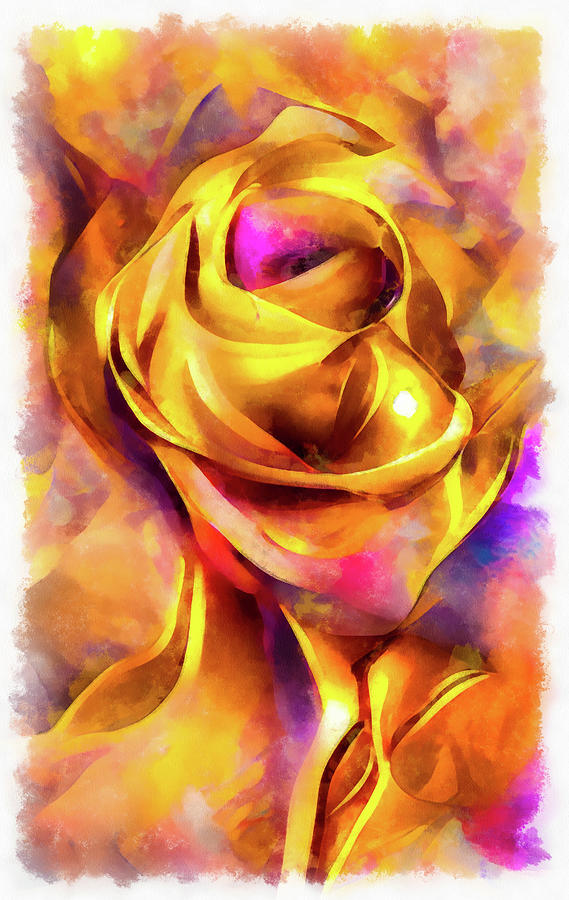 Golden and Pink Rose Watercolor Painting by Matthias Hauser