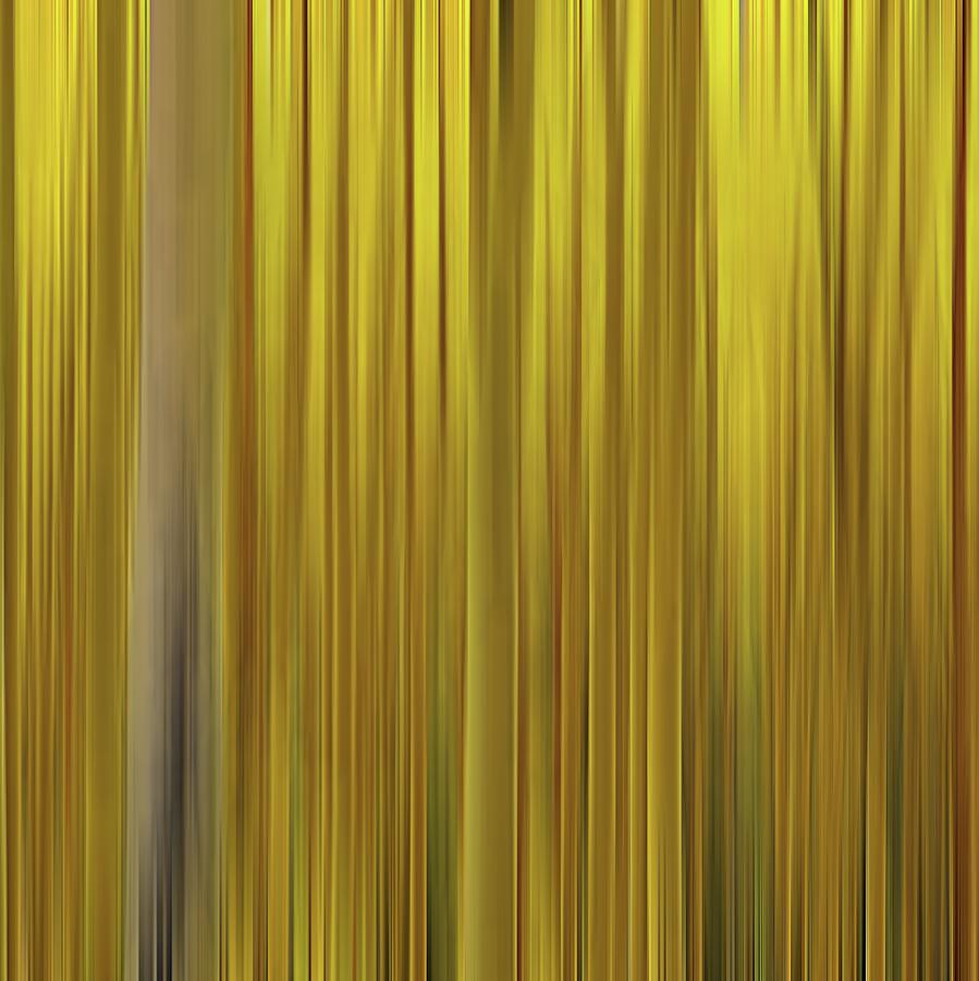 Golden Aspen Abstract Digital Art by Rebecca Herranen