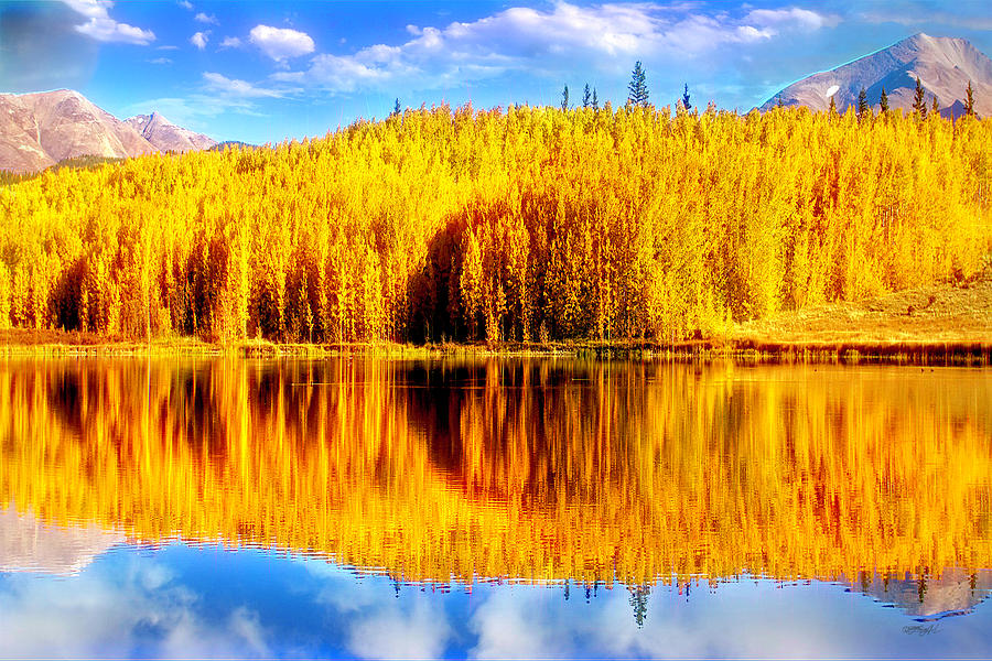 Reflections of Golden Aspen Trees Over a Fairplay, Colorado Autumn Scene  Photograph by O Lena