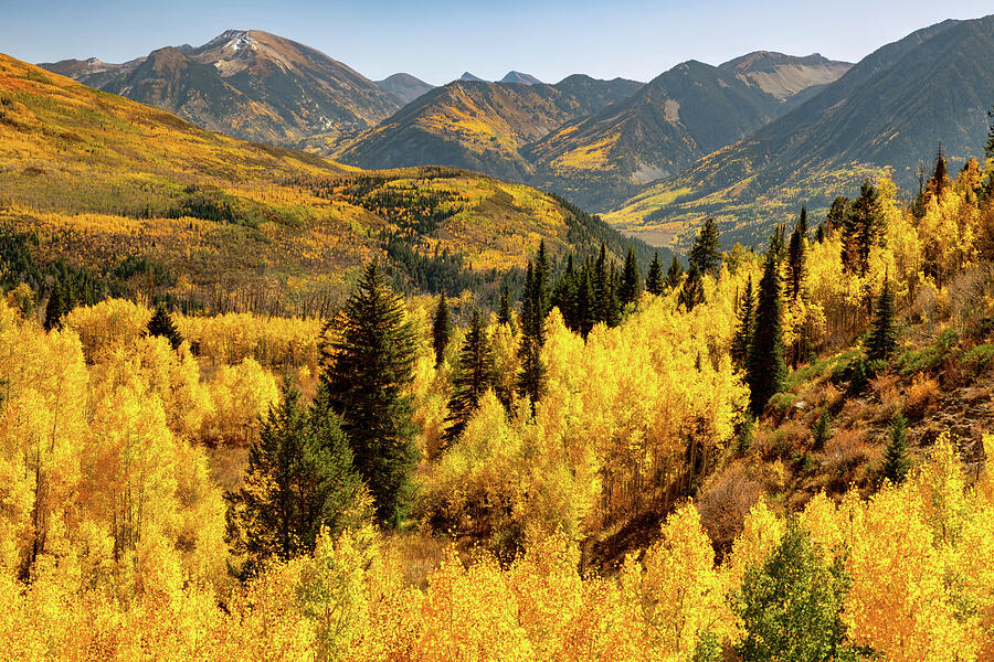 Golden Aspen Valleys At McClure Pass - Colorado Photograph by Gregory Ballos Golden Aspen Valleys At McClure Pass - Colorado Photograph by Gregory Ballos