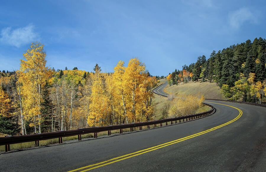 Golden Aspens on the Road to Chama Photograph by Rebecca Herranen Golden Aspens on the Road to Chama Photograph by Rebecca Herranen